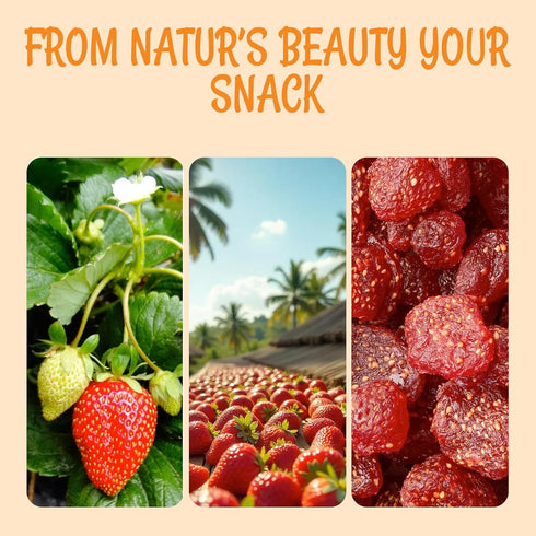 1 lb Packed Oh! Nuts Dried Strawberries Fancy - - Sweetened Dried Fruit - Dehydrated Fruit Bites - in New York Zip-Seal