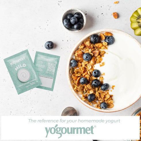 (6 Pack 6 3 Yogourmet Mild Yogurt Starter = Quarts of Yogurt) - Make Yogurt at Home - Starter Culture - All Natural