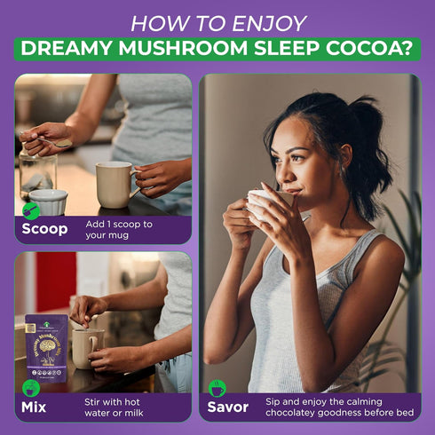 Dreamy Hot Cocoa Blend Mix Organic Mushroom Coffee with Reishi, L-Theanine, Chamomile & Adaptogens, Organic, Non-GMO