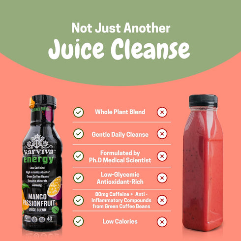 Pack 1 3-day Reset (6 12 fl.oz Organic Juice Cleanse & Metabolism Boosting | to Gentle | Ancient Remedies for Liver