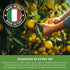 12 oz (Pack 1) Galvanina Lemon Premium Organic Italian Sparkling Soda, fl Glass Bottle of | Crisp Sicilian Lemon Soda