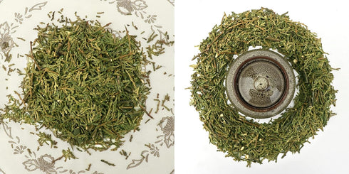 PALPLUS -10.58 (300g) Organic Natural Pure Hinoki Cypress(Japanese Cypress) Cypress Leaves & Stems,Leaf Dried Bulk