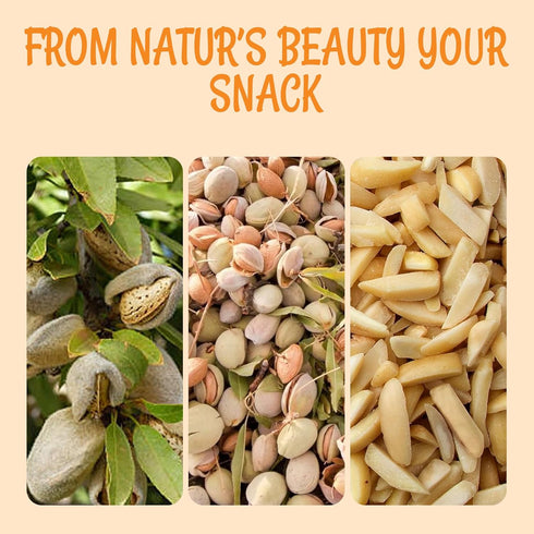 100% 1.5 lb Packed Oh! Nuts Almonds Blanched Slivered - Raw - Natural - - White Almond Sticks - in New York Zip-Seal