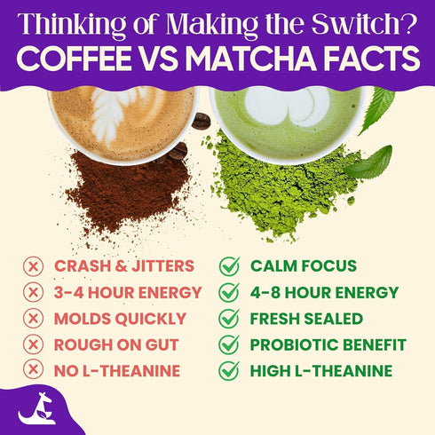 150g (25 70mg Mushroom Matcha servings, Caffeine, Zero Sugar) with Lions Mane, Cordyceps, Reishi, Chaga | Adaptogenic