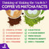 150g (25 70mg Mushroom Matcha servings, Caffeine, Zero Sugar) with Lions Mane, Cordyceps, Reishi, Chaga | Adaptogenic