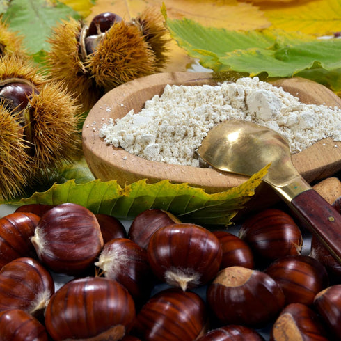 500 Sanniti Italian Gluten Free Chestnut Flour, grams