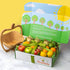 Gourmet Fresh Fruit Gift Box by Fruitfully