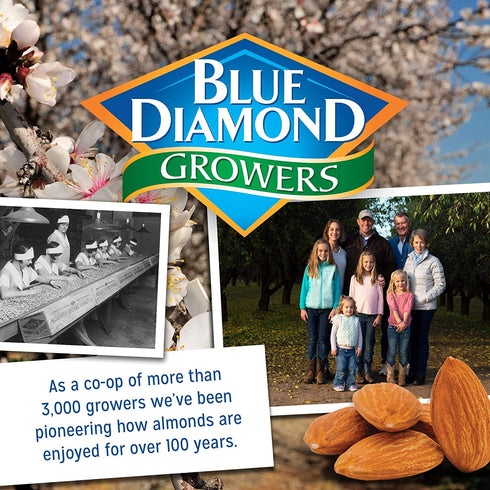 16 Oz (Pack 1) Blue Diamond Almonds Salt N' Vinegar Flavored Snack Nuts, Resealable Bag