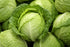 RawJoy Pack 3 Fresh Organic Green Cabbage by Farms
