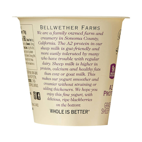 Bellwether Farms 6 OZ Blackberry Sheep Milk Yogurt