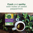 96 (6 Pack) Traditional Medicinals Tea, Organic Smooth Move Peppermint, Relieves Occasional Constipation, Senna, Tea