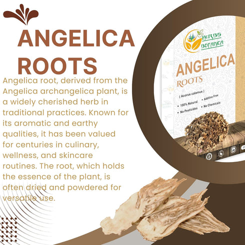 3.5 oz Herbs Botanica Angelica Root Loose Cut and Sifted Angel of Herbs Angelica Archangelica Angelica Herb for Herbal