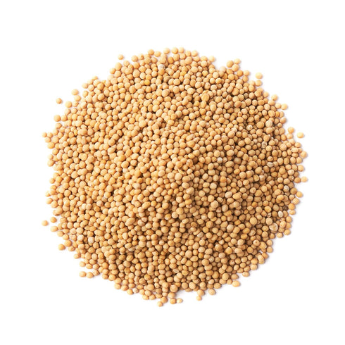 3 Food to Live - Organic Yellow Mustard Seeds, Pounds - Non-GMO, Whole Dried Spice, Vegan, Kosher, Bulk, Spicy, Pungent