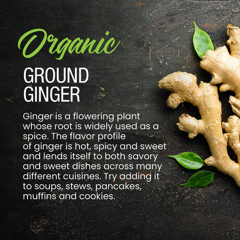 The Spice Lab Organic Ginger Powder - Ground Ginger for Fried Rice and Curry Sauce - 1.5 oz French Jar - Gluten Free Ginger Root Powder for Ginger Beer - Vegan Keto - Certified Organic Clean Label