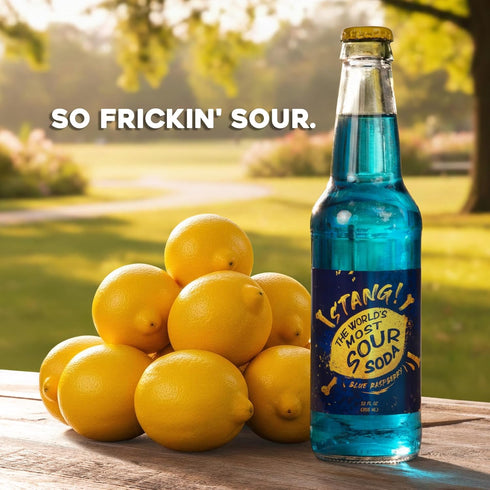 Stang! Super Sour Soda Pop - A Tangy Beverage Experience