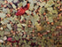 Assagio Classico Pickling Spice