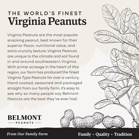 18 oz (1 Pack) Belmont Peanuts Gourmet Brown Sugar & Spice Flavored Virginia Peanuts Mixer, Simple Ingredients, No