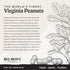 18 oz (1 Pack) Belmont Peanuts Gourmet Brown Sugar & Spice Flavored Virginia Peanuts Mixer, Simple Ingredients, No
