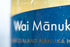 330ml/11.1 oz.Glass (6 Pack) Wai Mnuka Sparkling Mnuka Honey Drink - Premium Non-Alcoholic Beverage with New Zealand
