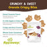 1 oz 20 Count Appleways Whole Grain Granola Bites, - Crispy Nut Free Snacks for Office, School, Work & Grab-and-Go