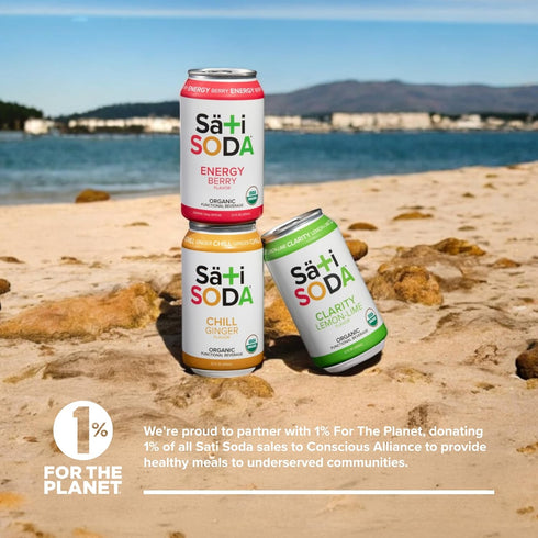 (9g), 12 Pack Sati Soda Ginger Functional Ginger Soda with Chamomile Low Sugar Organic Sparkling Drink for Calm