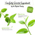 20 Count (Pack 6), 120 Bigelow Tea Perfectly Mint Black Tea, Caffeinated with Spearmint, Box of Total Tea Bags