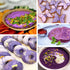 16oz Pack 100% Value Purple Sweet Potato Powder for Regular Use Natural Dried Ube Powder, Purple Yam Powder for Food