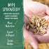 11 (Pack 6) One Degree Organics Sprouted Oat Honey Hemp Granola Cereal, Glyphosate-Free, USDA Organic, Gluten-Free