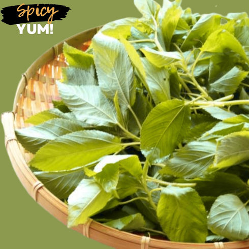 Spicy Yum! 7 oz Dried Jute Leaves (Ewedu / Molokhia / Lalo / Saluyot) Premium Egyptian Spinach Natural Non-GMO Leaf
