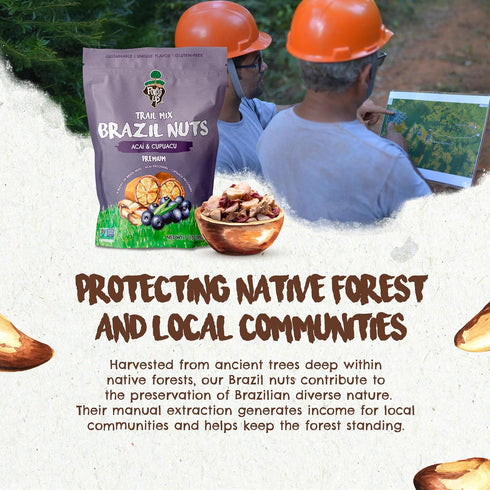 7oz Snack Aa Trail Mix The True Organic Brazil Nuts Roasted + Aa Fruit Nibs + Cupuau Fruit Nibs Nutrient-Rich