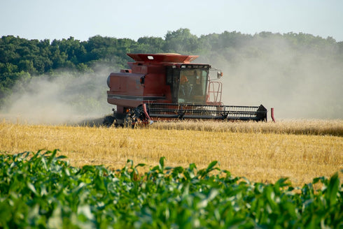 Early Morning Harvest Organic Pastry Flour - Made from Certified Organic, Non-GMO Whole Wheat - Stone Ground Flour