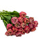 KaBloom - Fresh 20 Peony Pink Tulips - Fresh Flowers for Birthday,