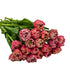 KaBloom - Fresh 20 Peony Pink Tulips - Fresh Flowers for Birthday,