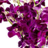 Generic (10 Fresh Cut Orchids Flowers - Purple Orchids Bouquet - PRIME QUALITY - Gift for Easter, Anniversaries