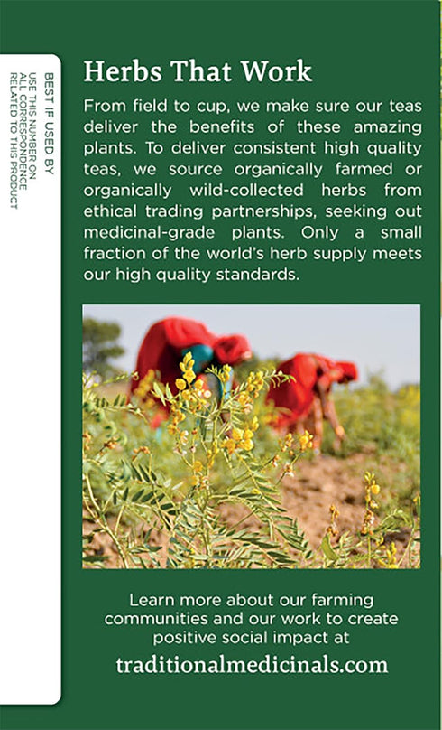 Traditional Medicinals Organic Fennel Herbal Tea, Promotes Digestive Health (Pack of 2) 32 Tea Bags Total