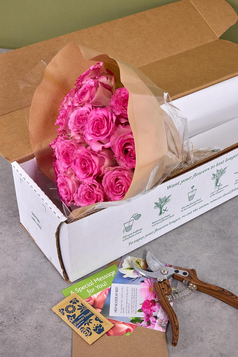 Falcon Farms Inc 18 Pink Roses Bouquet Fresh Cut Flowers-Lasting Roses for Gifts, Birthdays & Anniversaries .