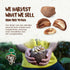 7 oz Snack The True Organic Brazil Nuts Raw and Unsalted Kosher Healthy-Rich in Vegetable Protein Harvested in Amazon