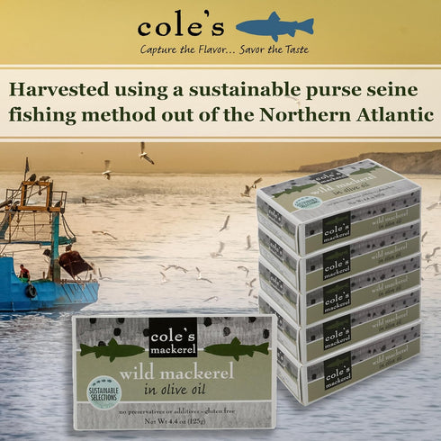 Pack 5 Cole's of Wild Mackerel in Olive Oil - Canned & Jarred Seafood, Skinless, Boneless, Small Atlantic Mackerel