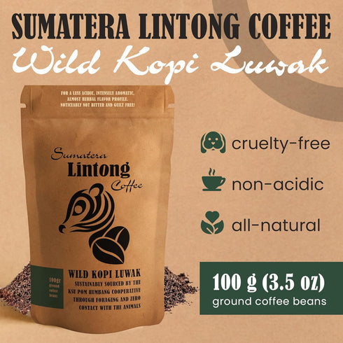 Ground Wild Kopi Luwak 100gr) , the Worlds Most Exclusive Coffee, Sustainably Sourced From Sumatra, Indonesia (Ground