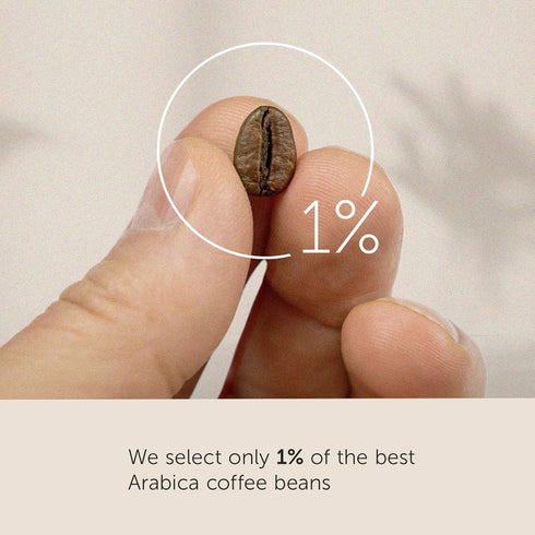 100% 8.8 (Pack 1) illy Decaf Whole Bean Coffee, Classic Medium Roast Gourmet Blend, Arabica Coffee, Ounce