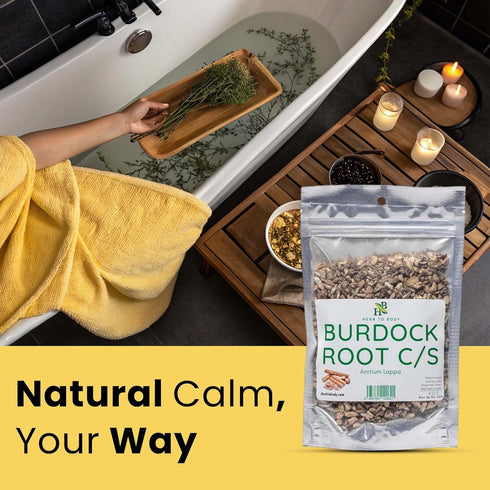 4 oz, Herb To Body Burdock Root Cut & Sifted Wildcrafted Arctium Lappa Dried for Herbal Tea, Dried Burdock Tea