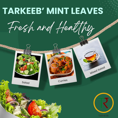 Tarkeeb Mint Leaves Cut - Dried mint leaves cut and sifted | No Stems | All Natural | Gluten Free | NON-GMO | Vegan | Net Weight: 1.76oz/50g | Indian Origin |