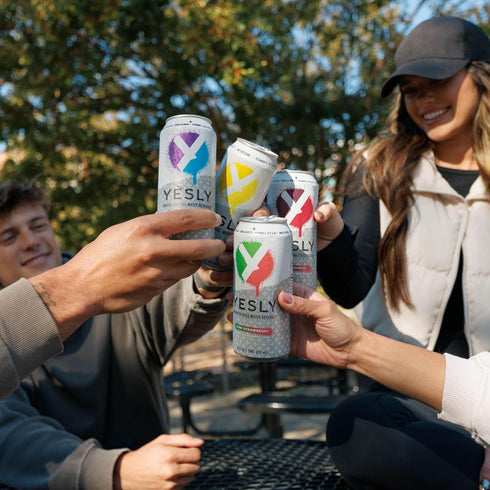 Pack, B6 B12, 16 Oz 12 Pack Yesly Functional Water, Variety Naturally Flavored Still Water with Electrolytes
