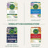 96 (6 Pack) Traditional Medicinals Tea, Organic Nighty Night, Relax & Get a Good Night's Sleep, Includes Spearmint Tea