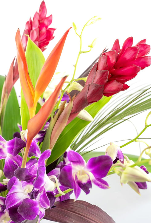 Generic Fresh Orchids and Tropical Flower Bouquet, Purple Orchids, Red Ginger, Heliconia, Mixed Foliage, Hawaiian