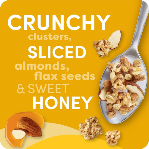 2.1oz 12ct Kashi Go Cereal Honey Almond