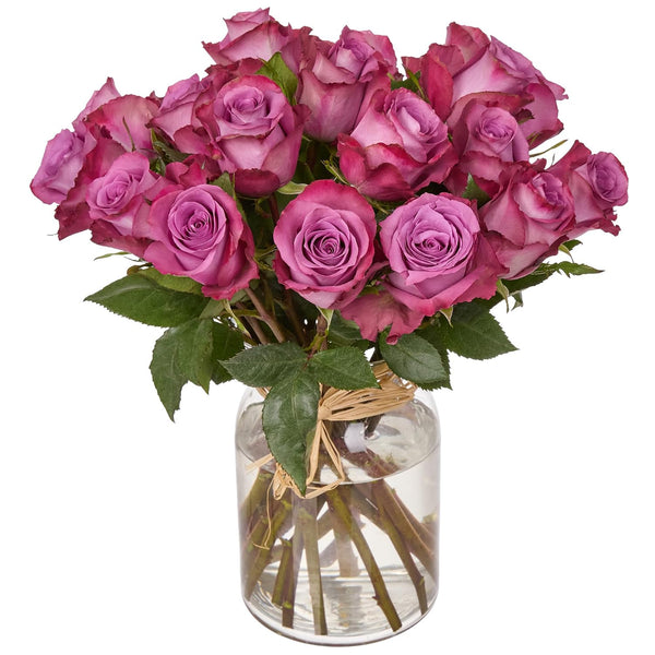 Falcon Farms Inc 18 Lavender Rose Bunch - .