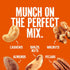 (1-Pack) 36oz Emerald Salted Deluxe Mixed Nuts | Resealable Bulk Bag | Features Cashews, Almonds, Walnuts, Brazil Nuts