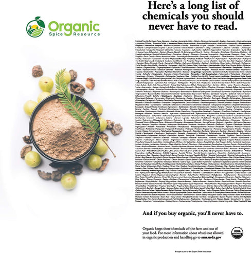 Organic Amla Powder, 8 oz (226g), Non-GMO, 100% Raw from India, by SHOPOSR
