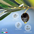 34 oz (1 ROI Extra Virgin Olive Oil From Italy - Cucina Ligurian Olive Oil From Italy, First Cold Pressed, Pure
